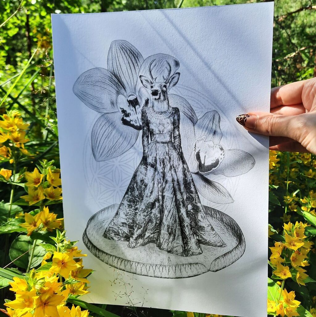 Deer Orchid coloring page by LinTu.studio