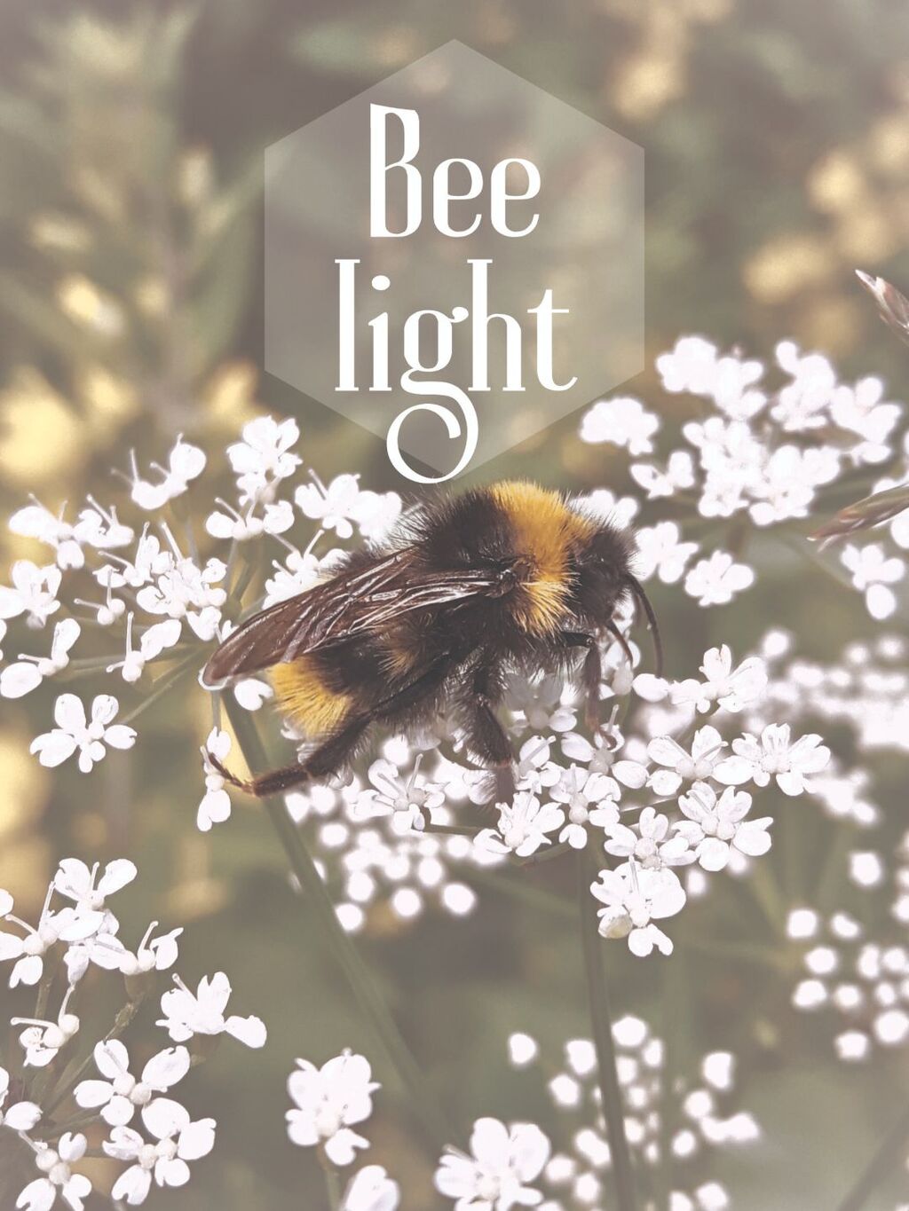 An image of Bee Light poster by LinTu.studio