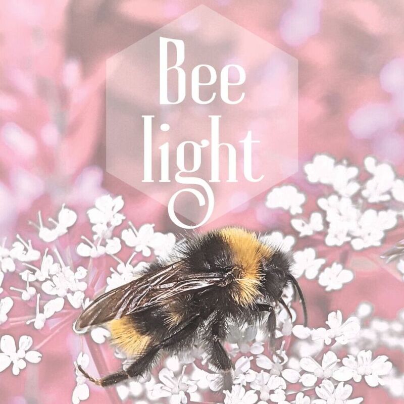 Bee Light wall art set