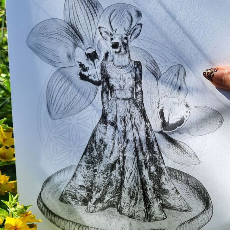 Deer Orchid coloring art