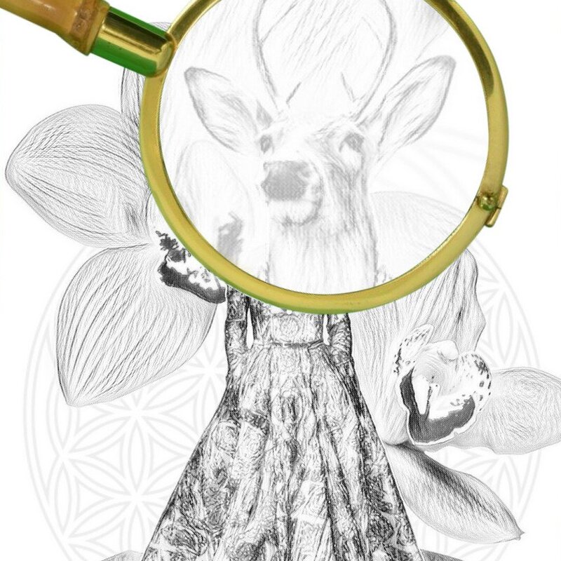 Deer Orchid coloring pages